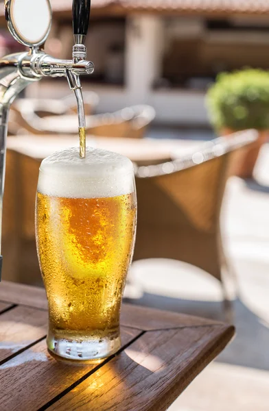 Glas leichtes Bier auf dem Holztisch. — Stockfoto