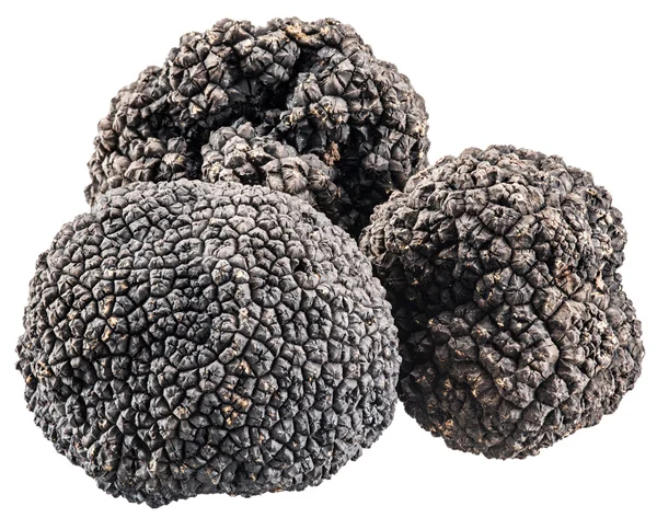 Black truffles. File contains clipping paths. — Stock Photo, Image