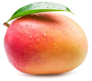 Mango meyve su damla ile. Beyaz bir arka plan üzerinde izole.