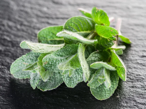 Minzkraut auf der schwarzen Graphittafel. — Stockfoto