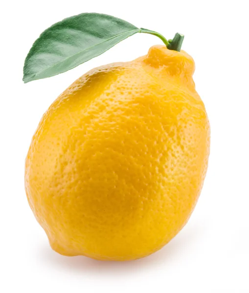 Mogen citron frukt på den vita bakgrunden. — Stockfoto