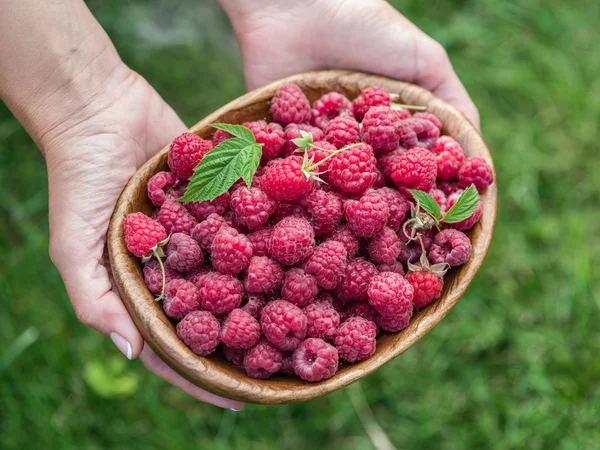 Raspberries in the wooden bowl. — Stock Photo, Image