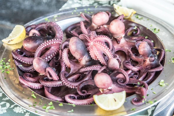 Pulpo a la plancha. Plato tradicional mediterráneo . — Foto de Stock