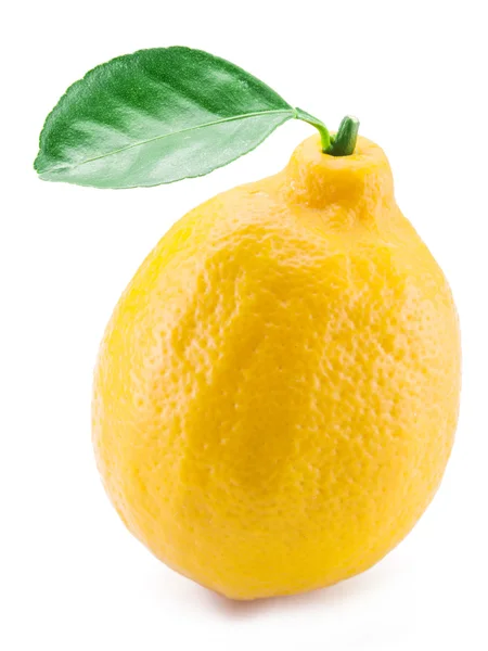 Maturare la frutta al limone sullo sfondo bianco . — Foto Stock