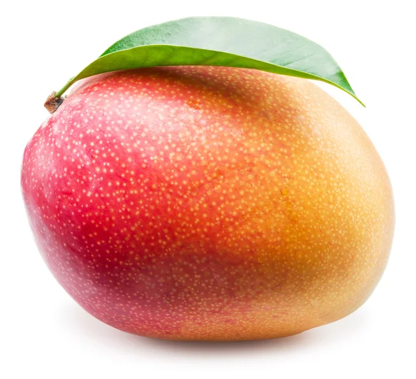 Mango frukt på den vita bakgrunden. — Stockfoto