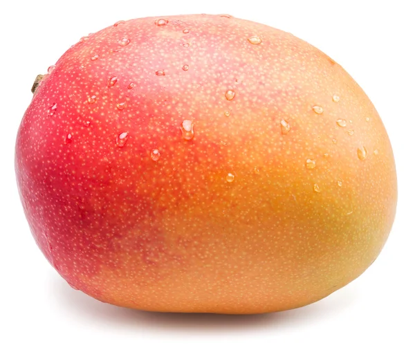 Mango gyümölcs vízcseppek. Elszigetelt fehér background. — Stock Fotó