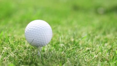 Geçerli çimenlerin üzerinde golf topu bir darbe olduğunu.