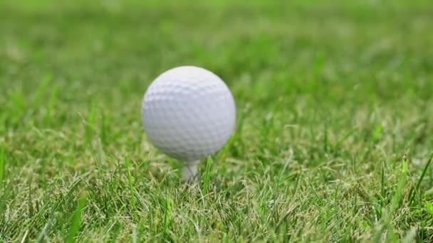 Toepassing is een klap voor de golfbal op het gras. — Stockvideo