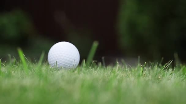 Anwendung ist ein Schlag für den Golfball auf dem Rasen. — Stockvideo