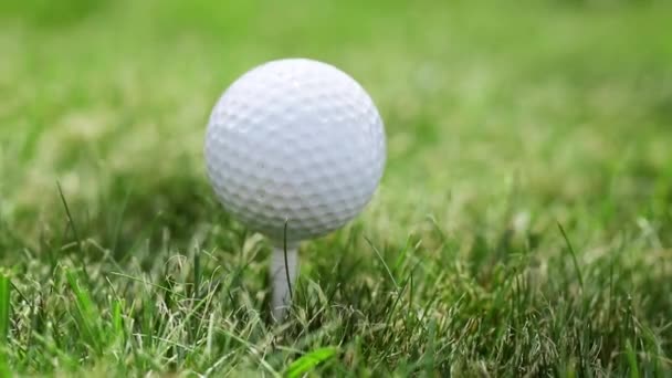 Anwendung ist ein Schlag für den Golfball auf dem Rasen. — Stockvideo