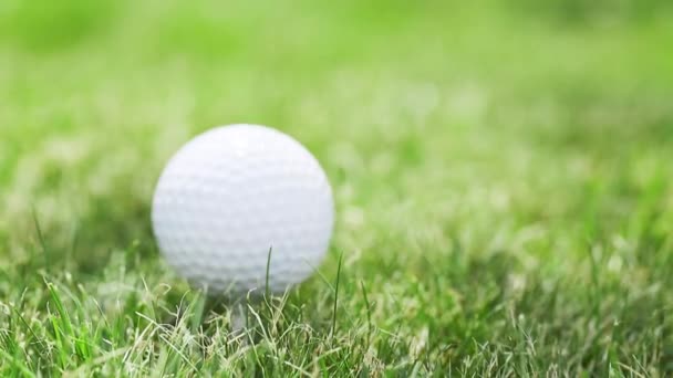 Tillämpas är ett slag mot golfbollen i gräset. — Stockvideo