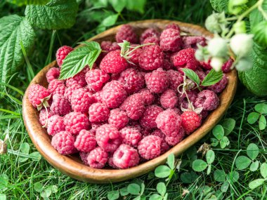 Ahududu ahşap kase.