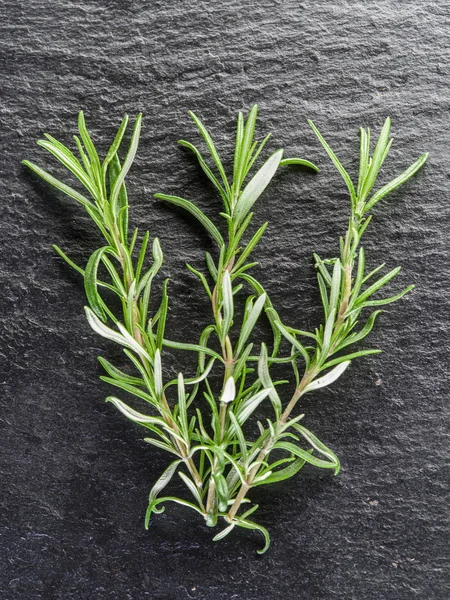 Frische Rosmarinblätter auf schwarzem Hintergrund. — Stockfoto