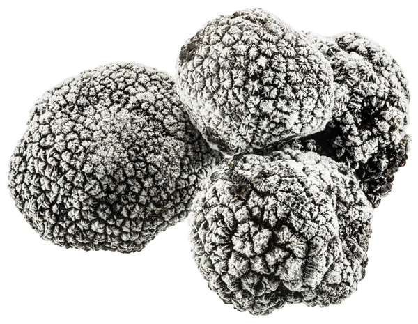 Frozen black truffles. File contains clipping paths. — Stock Photo, Image