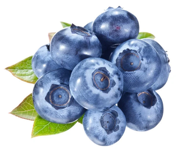 Blueberries with leaves on a white background. — Stock Photo, Image