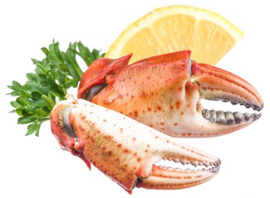 Limon ve otlar pişmiş Yengeç pençeleri.