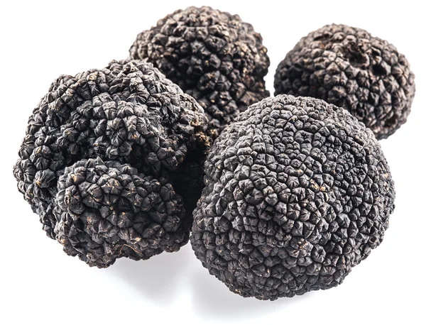 Truffes noires isolées sur fond blanc. — Photo