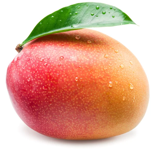 Fruta de mango con gotas de agua. Aislado sobre un fondo blanco . — Foto de Stock