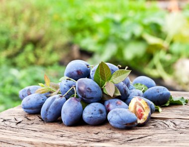 Erik eski ahşap masa.