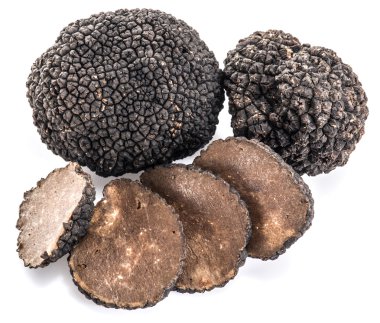 Beyaz arka planda siyah trüf mantarları izole edildi.