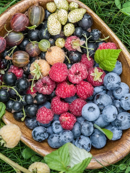 Reife Beeren in der Holzschale über grünem Gras. — Stockfoto