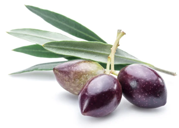 Three fresh olives with leaves on the white background. — Stock Photo, Image