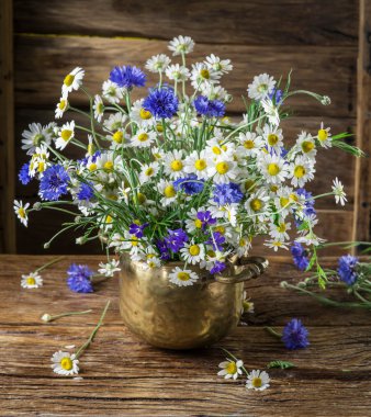 Chamomiles ve Peygamber ahşap üzerinde vazoda oluşan 