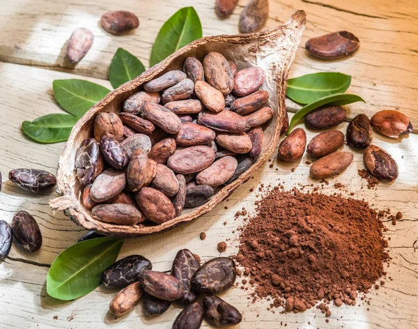 Cocao en polvo y granos de cocao en la mesa de madera . — Foto de Stock