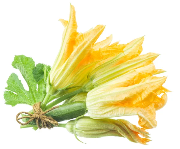 Zucchini flowers on a white background. — Stock Photo, Image