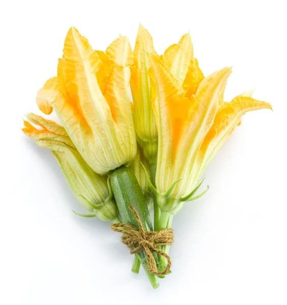 Courgette bloemen op een witte achtergrond. — Stockfoto