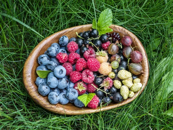緑の草の上椀で熟した果実. — ストック写真