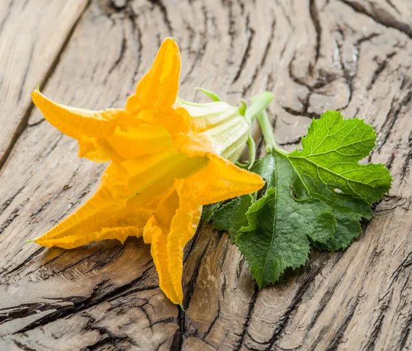 Flores de calabacín sobre una vieja mesa de madera . — Foto de Stock