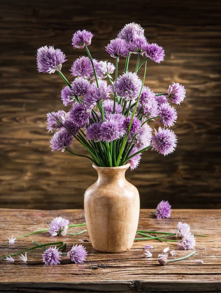 Bouquet of onion (chives) flowers in the vase on the wooden tabl Stock Picture