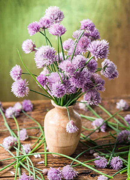 Bouquet of onion (chives) flowers in the vase on the wooden tabl Stock Photo