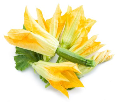 Kabak çiçekleri beyaz bir arka plan üzerinde.