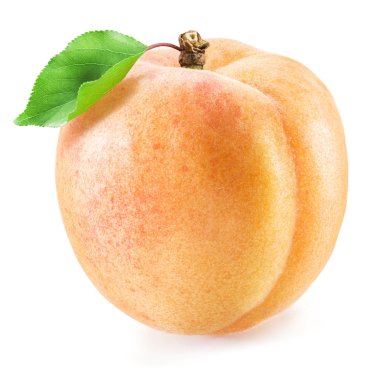 Yeşil yaprak ile olgun kayısı meyve. Kırpma yolları.