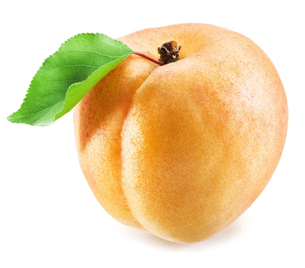 Ripe apricot fruit. Clipping paths. — Stock Photo, Image