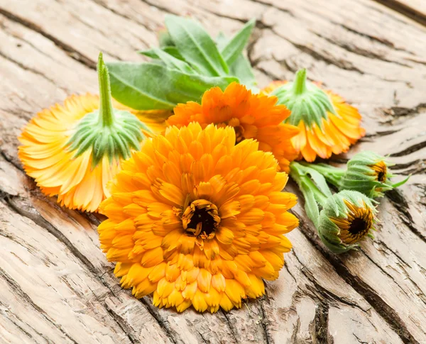 Flores de caléndula en la vieja mesa de madera. —  Fotos de Stock