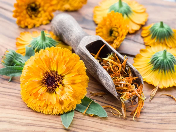 Fiori di Calendula sul vecchio tavolo di legno. — Foto Stock