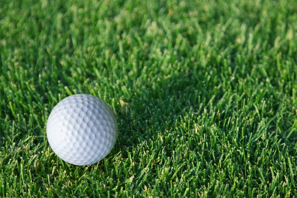 Golfboll redo att drabbas på det gröna gräset. — Stockfoto