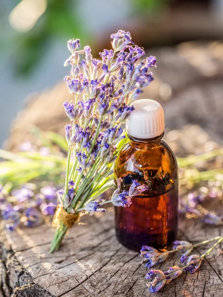 Ramo de flores de lavanda o lavanda y botella de aceite están en el —  Fotos de Stock