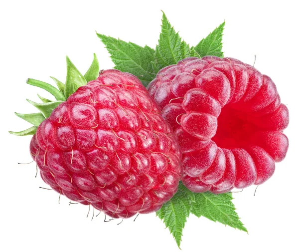 Two ripe raspberry fluits. File contains clipping paths. — Stock Photo, Image