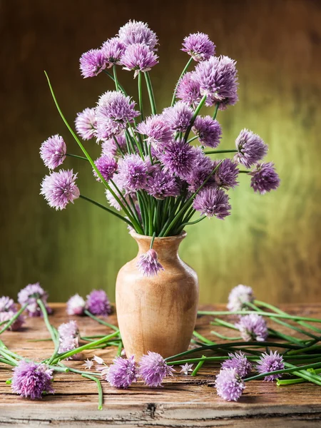 Bouquet of onion (chives) flowers in the vase on the wooden tabl Stock Image