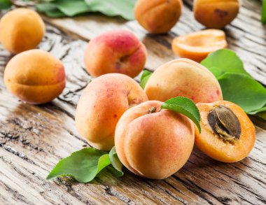 Kayısı ve onun kesit eski ahşap tablo.