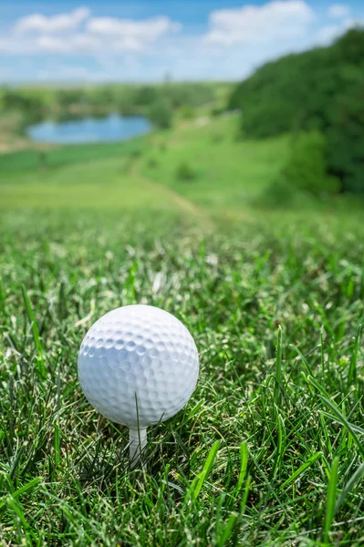 Golf ball ready to be hit on the green grass.