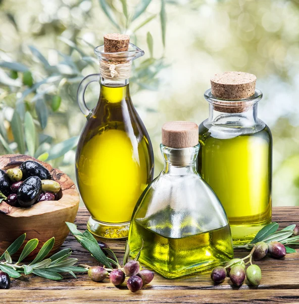 Оливковое масло и ягоды на деревянном столе под оливковым тр. — стоковое фото