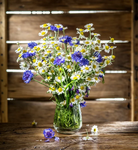 Bukett av chamomiles och blåklinten i vasen på trä — Stockfoto