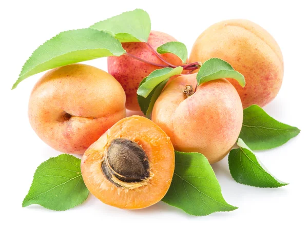 Apricots and its cross-section on the white background. — Stock Photo, Image
