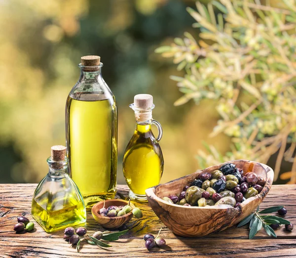 Olijfolie en bessen zijn op houten tafel onder de olijf tr — Stockfoto