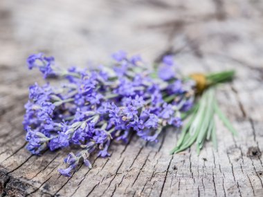 Eski ahşap masaya lavandula veya lavanta çiçek demet.
